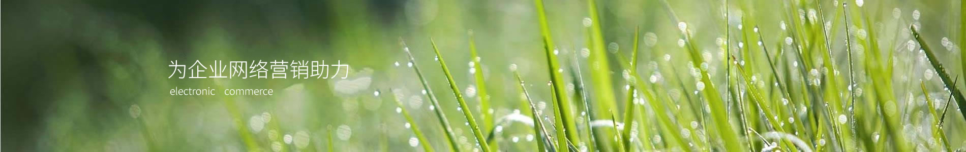 ݵ豸޹˾
